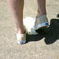  : Gallery : keds : 2008 : 43 : IMG_6929.JPG