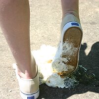  : Gallery : keds : 2008 : 43 : IMG_6936.JPG