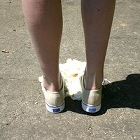  : Gallery : keds : 2008 : 43 : IMG_6939.JPG