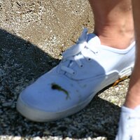  : Gallery : keds : 2008 : 49 : IMG_6801.JPG