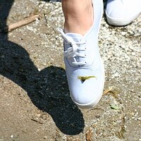  : Gallery : keds : 2008 : 49 : IMG_6804.JPG