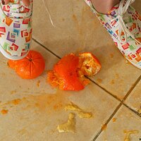 : Gallery : keds : 2008 : 57 : Foxy_166.jpg