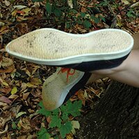  : Gallery : keds : 2009 : 22 : pic040.jpg