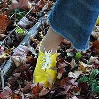  : Gallery : keds : 2010 : 18 : DSC_0097.jpg