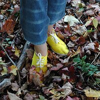  : Gallery : keds : 2010 : 18 : DSC_0101.jpg