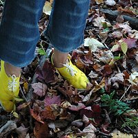  : Gallery : keds : 2010 : 18 : DSC_0106.jpg