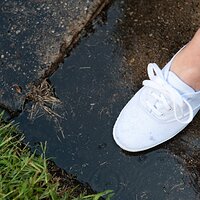  : Gallery : keds : 2010 : 41 : nyxon011.jpg