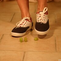  : Gallery : keds : 2011 : 14 : IMG_0708.JPG