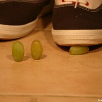  : Gallery : keds : 2011 : 14 : IMG_0711.JPG