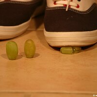 : Gallery : keds : 2011 : 14 : IMG_0712.JPG