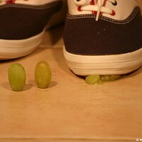  : Gallery : keds : 2011 : 14 : IMG_0713.JPG