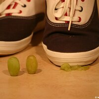  : Gallery : keds : 2011 : 14 : IMG_0715.JPG