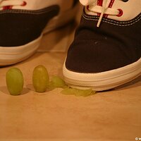  : Gallery : keds : 2011 : 14 : IMG_0716.JPG
