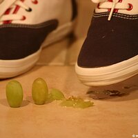  : Gallery : keds : 2011 : 14 : IMG_0717.JPG