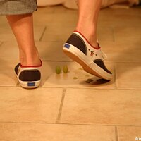  : Gallery : keds : 2011 : 14 : IMG_0732.JPG