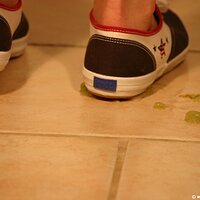  : Gallery : keds : 2011 : 14 : IMG_0738.JPG