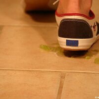  : Gallery : keds : 2011 : 14 : IMG_0740.JPG