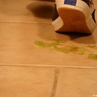  : Gallery : keds : 2011 : 14 : IMG_0741.JPG