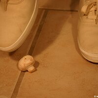  : Gallery : keds : 2011 : 19 : IMG_0619.JPG