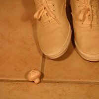  : Gallery : keds : 2011 : 19 : IMG_0626.JPG