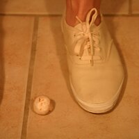  : Gallery : keds : 2011 : 19 : IMG_0627.JPG