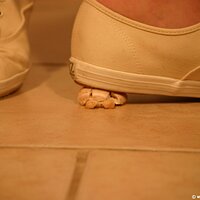  : Gallery : keds : 2011 : 19 : IMG_0634.JPG
