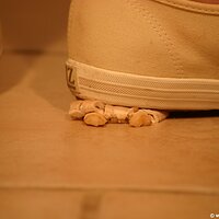  : Gallery : keds : 2011 : 19 : IMG_0637.JPG