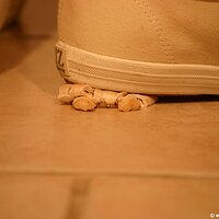 : Gallery : keds : 2011 : 19 : IMG_0638.JPG