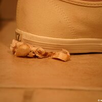  : Gallery : keds : 2011 : 19 : IMG_0639.JPG