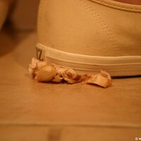  : Gallery : keds : 2011 : 19 : IMG_0640.JPG
