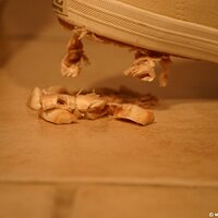 : Gallery : keds : 2011 : 19 : IMG_0641.JPG