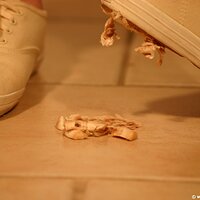  : Gallery : keds : 2011 : 19 : IMG_0642.JPG
