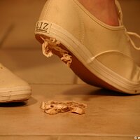  : Gallery : keds : 2011 : 19 : IMG_0645.JPG
