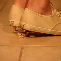  : Gallery : keds : 2011 : 19 : IMG_0649.JPG