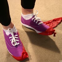  : Gallery : keds : 2011 : 25 : IMG_0296.JPG
