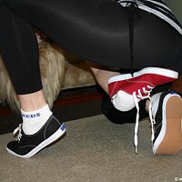  : Gallery : keds : 2011 : 37 : IMG_0006.JPG
