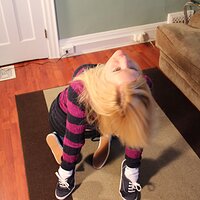  : Gallery : keds : 2012 : 21 : 2011_01_13_0139.JPG