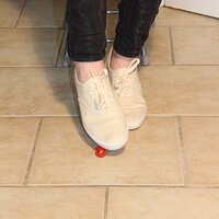  : Gallery : keds : 2014 : 03 : IMG_6863.JPG