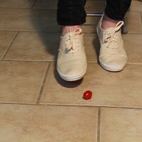  : Gallery : keds : 2014 : 03 : IMG_6866.JPG