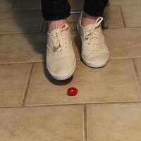  : Gallery : keds : 2014 : 03 : IMG_6867.JPG