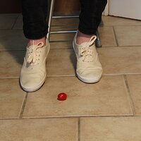  : Gallery : keds : 2014 : 03 : IMG_6869.JPG