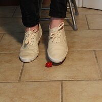  : Gallery : keds : 2014 : 03 : IMG_6870.JPG