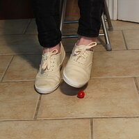  : Gallery : keds : 2014 : 03 : IMG_6872.JPG