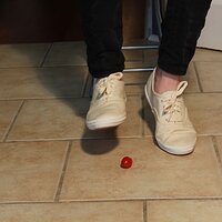  : Gallery : keds : 2014 : 03 : IMG_6874.JPG