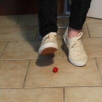  : Gallery : keds : 2014 : 03 : IMG_6875.JPG