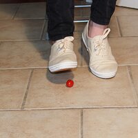  : Gallery : keds : 2014 : 03 : IMG_6879.JPG