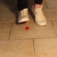  : Gallery : keds : 2014 : 03 : IMG_6880.JPG