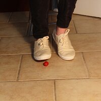  : Gallery : keds : 2014 : 03 : IMG_6881.JPG