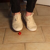  : Gallery : keds : 2014 : 03 : IMG_6882.JPG