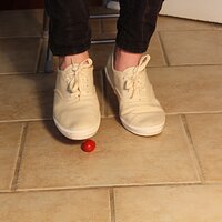  : Gallery : keds : 2014 : 03 : IMG_6883.JPG